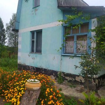 Здам дачу Веснянка (хатка +10сот)