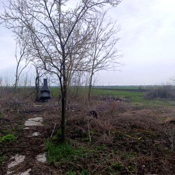Будинок дача біля річки с. Шубівка