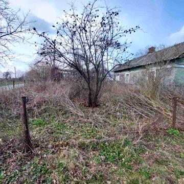 Продається будинок в с.Новий Мартинів