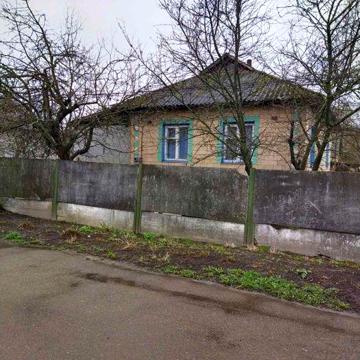 Продаж Будинок в м Борзна Чернігівська обл