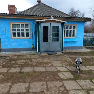 Продам будинок із зручностями у с. Павлиш