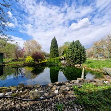 Продаж будинку на початку Минаю