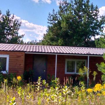 Без %, Дача, дом, відпочинок, ліс, природа