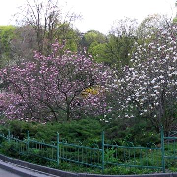 Тарасівська вул., 3