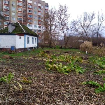 Будинок під дачу