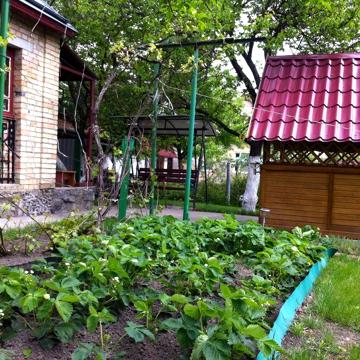 Продам дачу в с.Миколаївка
