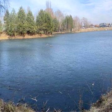 Сдам дом Козин Конча Заспа