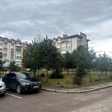 Оброшино, Оброшине, є відновлення, є оселя, є постанови