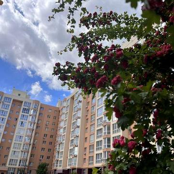 Продам 1к квартиру 38 м2. Софіївська Сфера,Львівський маєток,У-квартал ЖК Софіївська Сфера