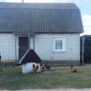 ПРОДАМ БУДИНОК, село Вільськ