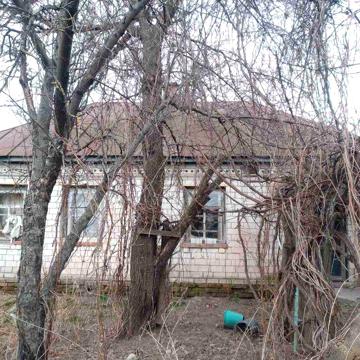 Продам дом в селе Вересоч Черниговская область