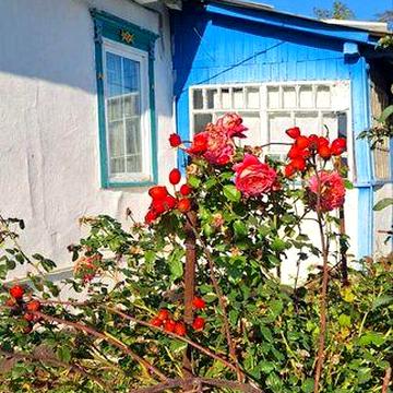 Продаж добротного деревяного будинку в селі Соболівка