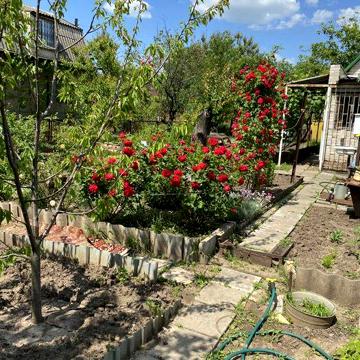 Продам дачу Привільне, Запорізька обл