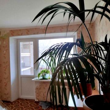 В продаже 2 ком.Ш-образка на Парковой на невысоком этажн