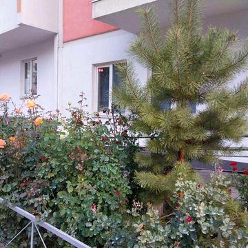 Продаж 1 кімнатної квартири з меблями та технікою.