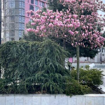 Продаж 2к Квартира Аркадійська алея