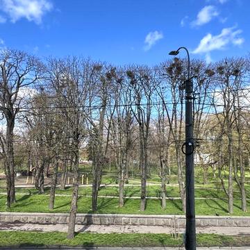 Продам 2-кім в центрі міста навпроти парку.