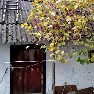 Будинок з присадибною ділянкою