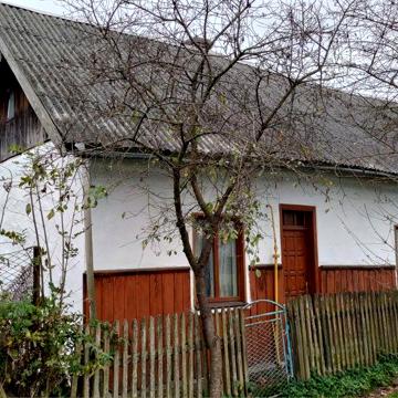 Будинок з присадибною ділянкою