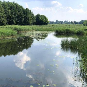 Продам хату в селі Рожів
