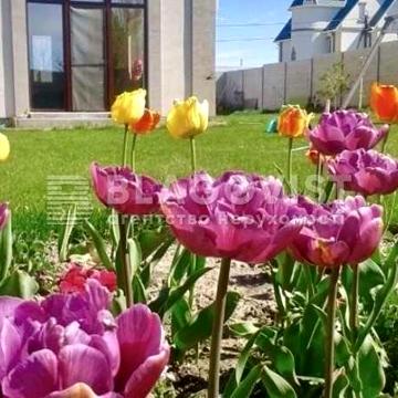 (165м2)Озера/Блиставиця/ Гостомель з ремонтом та меблями с.Озера