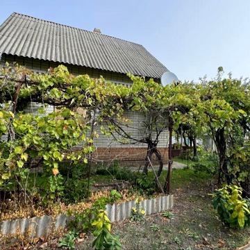 Продам заміський будинок-дачу в Ямбурзі