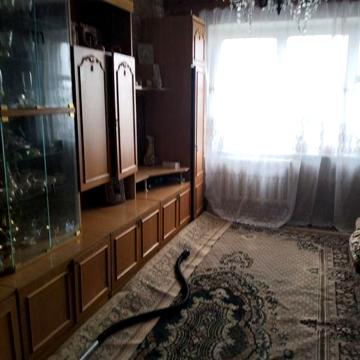 Здам трьохкімнатну квартиру в Квасилові