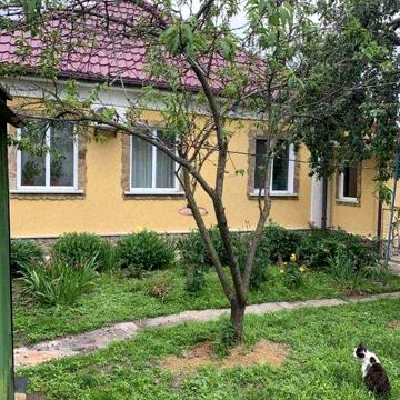Продам дом с.Новий Биків