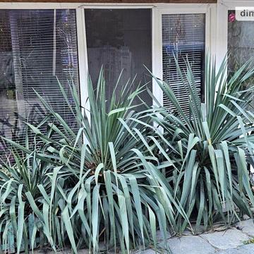 Продаж 2к Квартира Маринеско узвіз