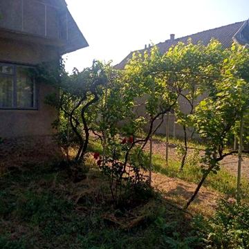 Продам дом в Татарбунарах