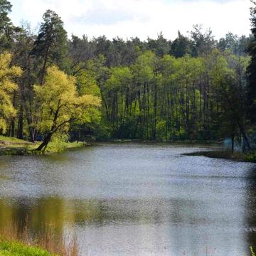 ПУЩА ВОДИЦЯ.  Будинок в лісі біля озера. вул. Лісна 60а