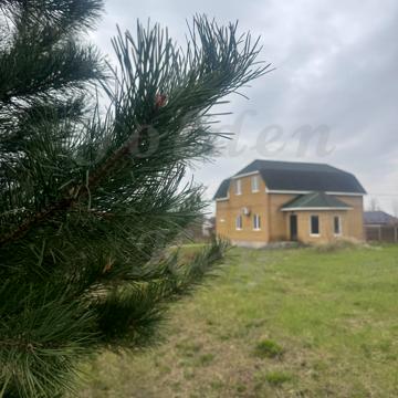 Венгера, 11