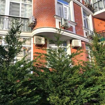 Продам 2-х ком квартиру , 86 кв. м в Аркадии.  Госпрограммы.