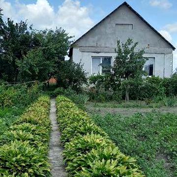 ПРОДАМ Будинок с.Любимівка від Києва 25 хв