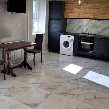Здається чудова 1 кімната квартира на Князів Кореантовичів.