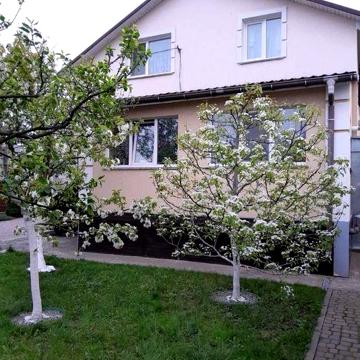 Продам 2 поверховый будинок з гаражем і ділянкою на 6 соток, 135 кв.