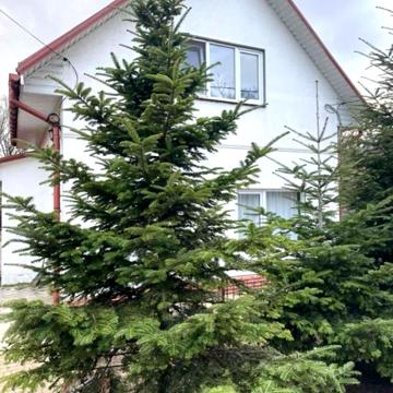 Гетьманський пров. (Правди)