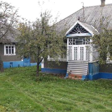 Продається господарство в селі Пашківці
