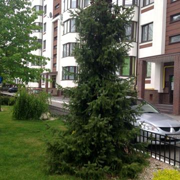 Оренда ЄВРООДНУШКИ  45м  ЖК ПРАЗЬКИЙ 1 Озеро і парк