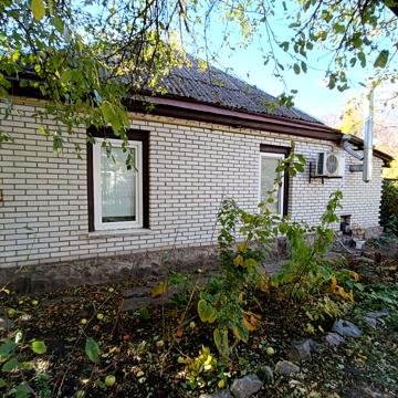 Незалежності, 31
