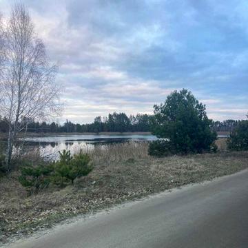 Продається одноповерховий будинок біля озера в с. Нове Залісся !