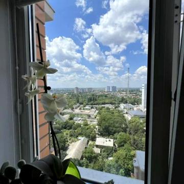 Жаботинського вул. (Пролетарская улица), 56а/5