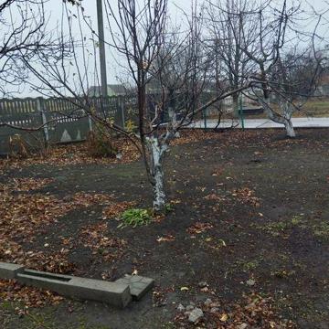 Здам в оренду будинок