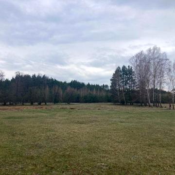 Продається дерев’яний будинок в селі Майдан,Камінь Каширський район.