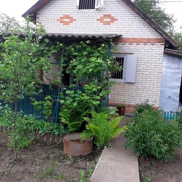 Будинок в оренду
