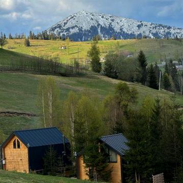 Продаж барнхауза, Будинок,Буковель,Гори, Поляниця