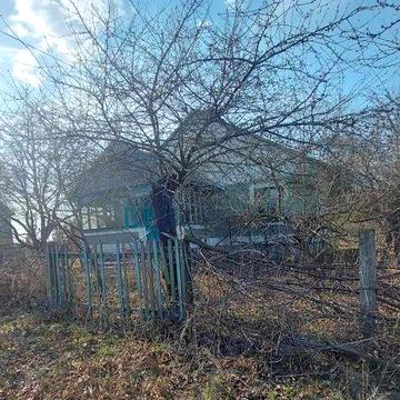 Будинок  поряд з лісом