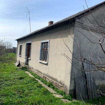 Будинок, літня кухня, підвал.