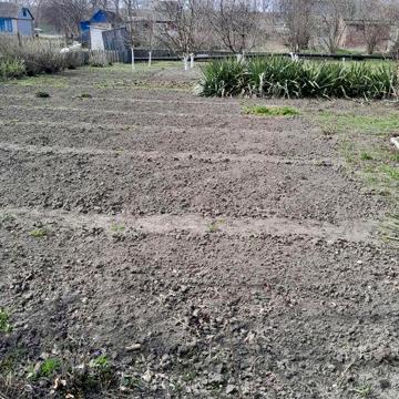 Продається дача  в товаристві "Будівельник" за Власівкою