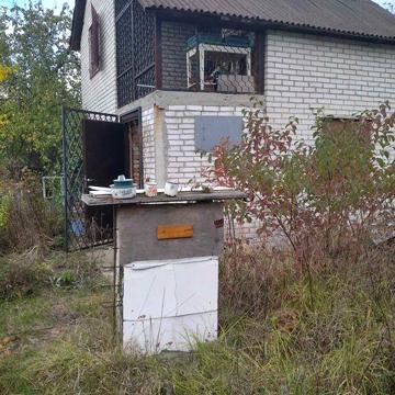 Оренда заміського будиночку, дачі